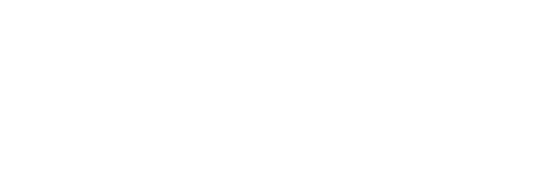 Eduskunta W
